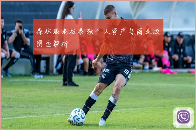 森林狼老板泰勒个人资产与商业版图全解析