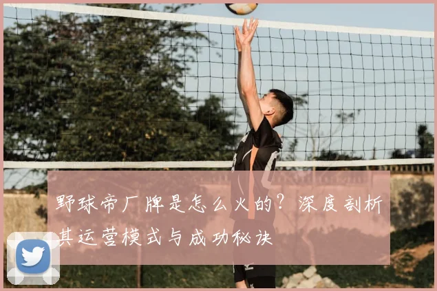 野球帝厂牌是怎么火的?深度剖析其运营模式与成功秘诀
